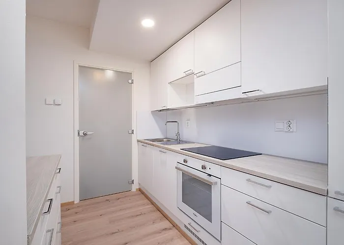 Brand New 2bdr With Private Sauna Διαμέρισμα Ροβανιέμι